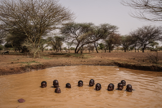 Kaya watering hole in Burkina Faso Color Awards Winners and Nominees