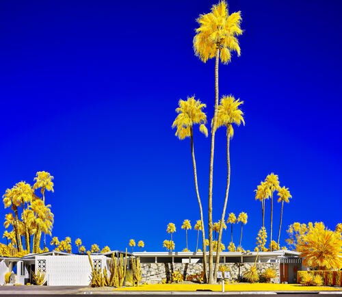 Duplexity, Palm Springs, California, 2023 Duplexity, Palm Springs, California, 2023