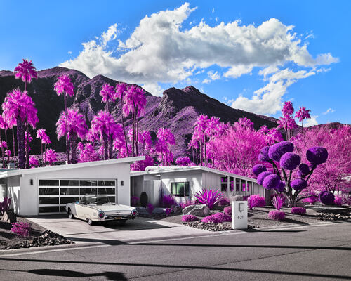 Thunderbird (Purple/Blue), Palm Springs, California, 2023 Thunderbird (Purple/Blue), Palm Springs, California, 2023