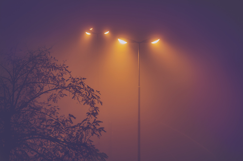 Alien street lamps in the fog Alien street lamps in the fog