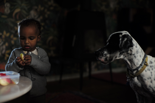 Mutual understanding Mutual understanding