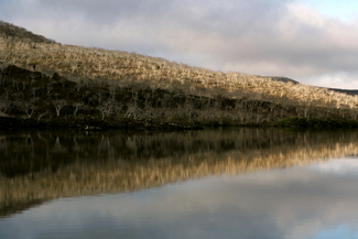 Plain and deep like a mirror Color Awards Winners and Nominees