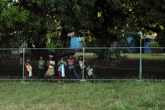 Prior to hatching Color Awards Winners and Nominees