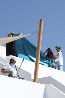 The alliance of convenience Color Awards Winners and Nominees