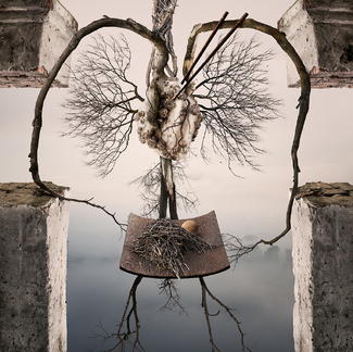 Still Life with Meat and Noodles Color Awards Winners and Nominees