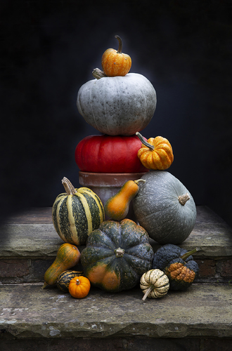 Festive edible pumpkins