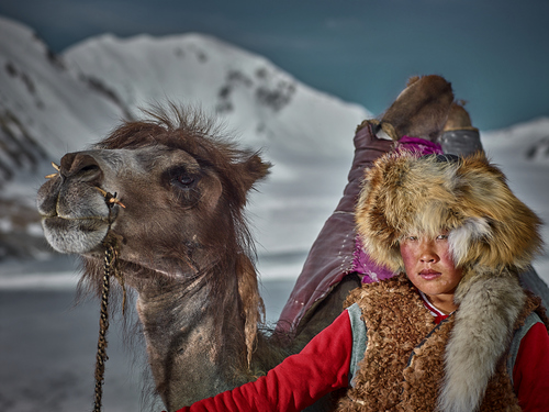 Mongolia, Nomads #3