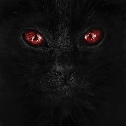 Eyes of Red