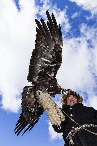 The Eagle Hunter